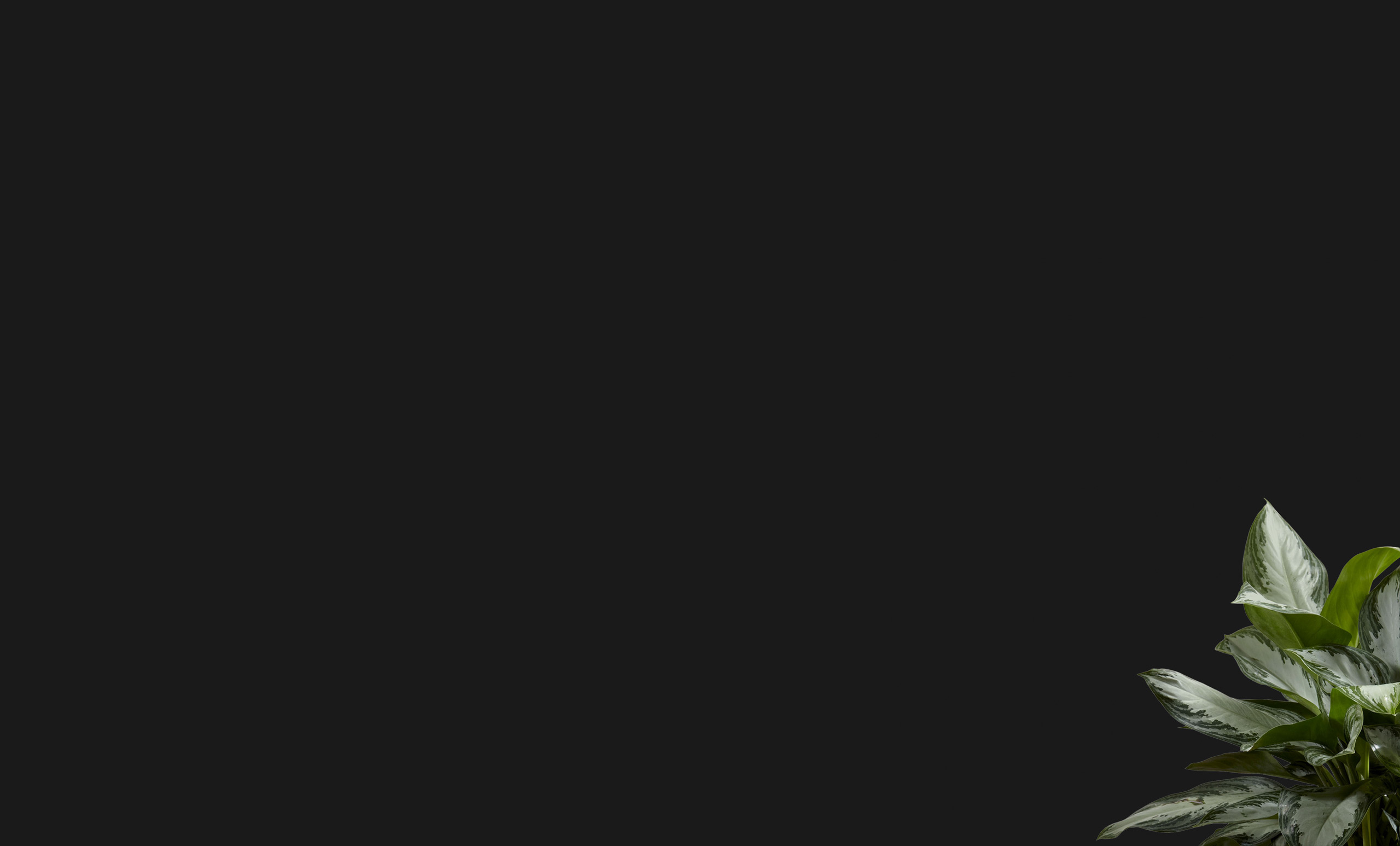 小財神的個人主頁（背景預(yù)覽） - 主頁背景設(shè)置 - 站酷設(shè)計師小財神原創(chuàng)素材 - 站酷ZCOOL