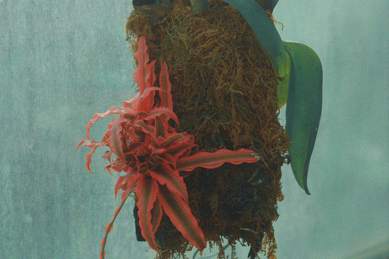 夏季热干面（图ZMTYyODAzODYw） - 人像摄影 - 站酷设计师大鳗君DMJ原创素材 - 站酷ZCOOL