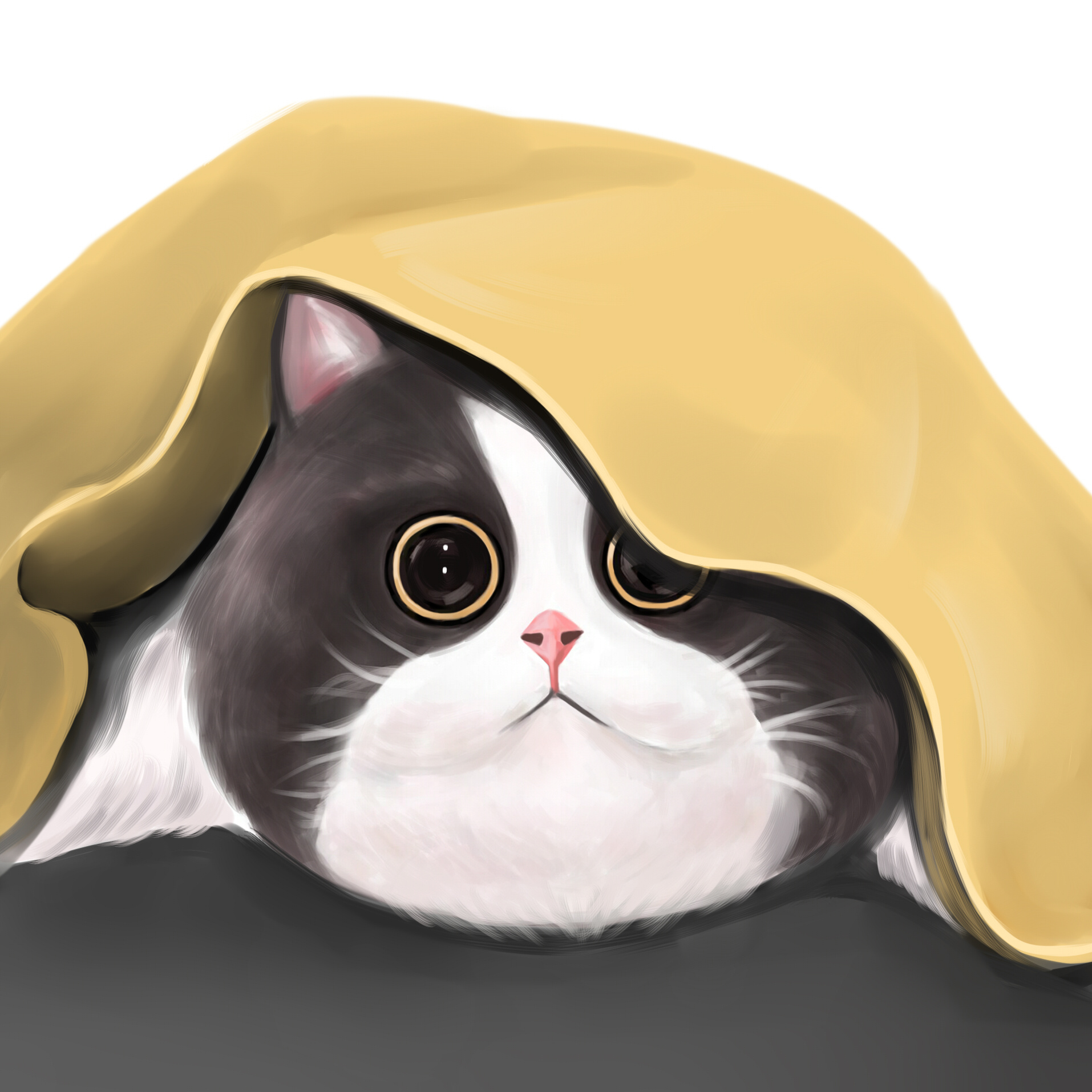 微信表情包-肥猫呆萌2