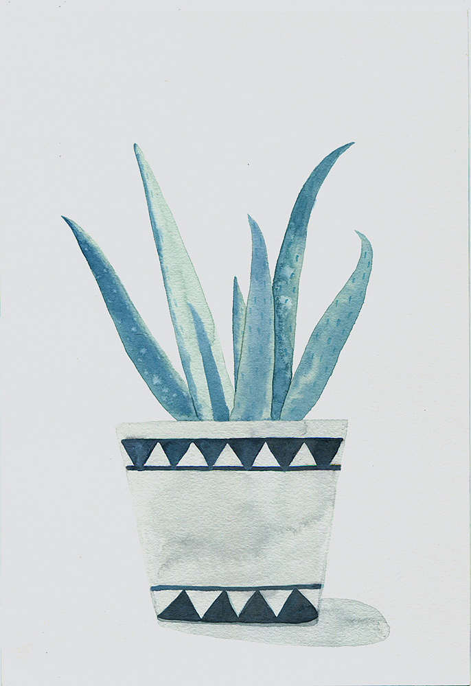 小清新植物系列《一》（图ZOTMwODcyNzI=） - 创作习作 - 站酷设计师茉白roman原创素材 - 站酷ZCOOL