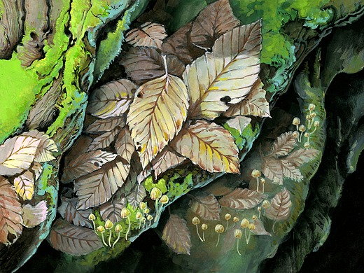 不透明水彩|【落叶】