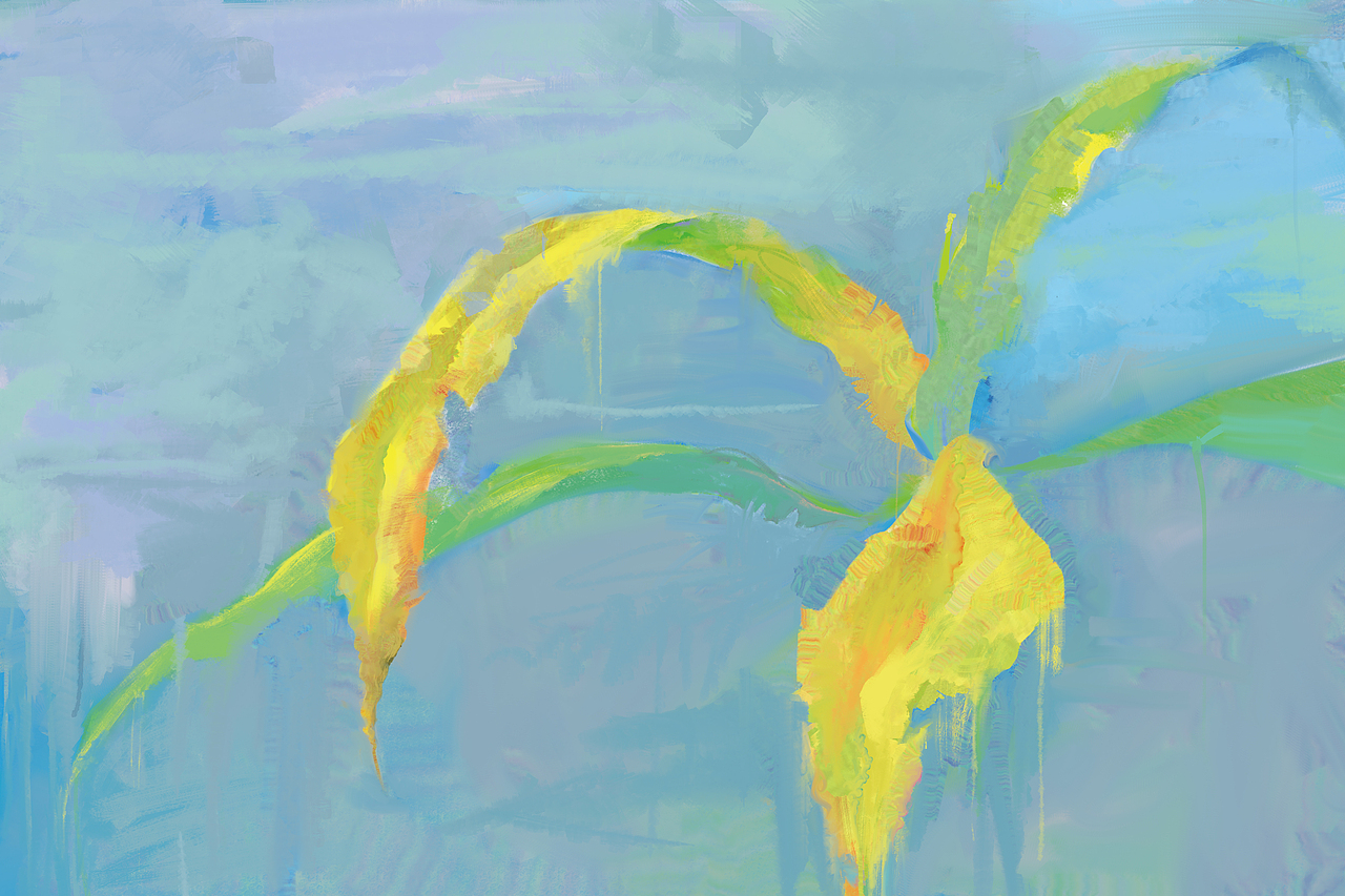 摸鱼1（图ZMTcyMzYxMDY4） - 创作习作 - 站酷设计师聚丙烯缓释胶囊原创素材 - 站酷ZCOOL