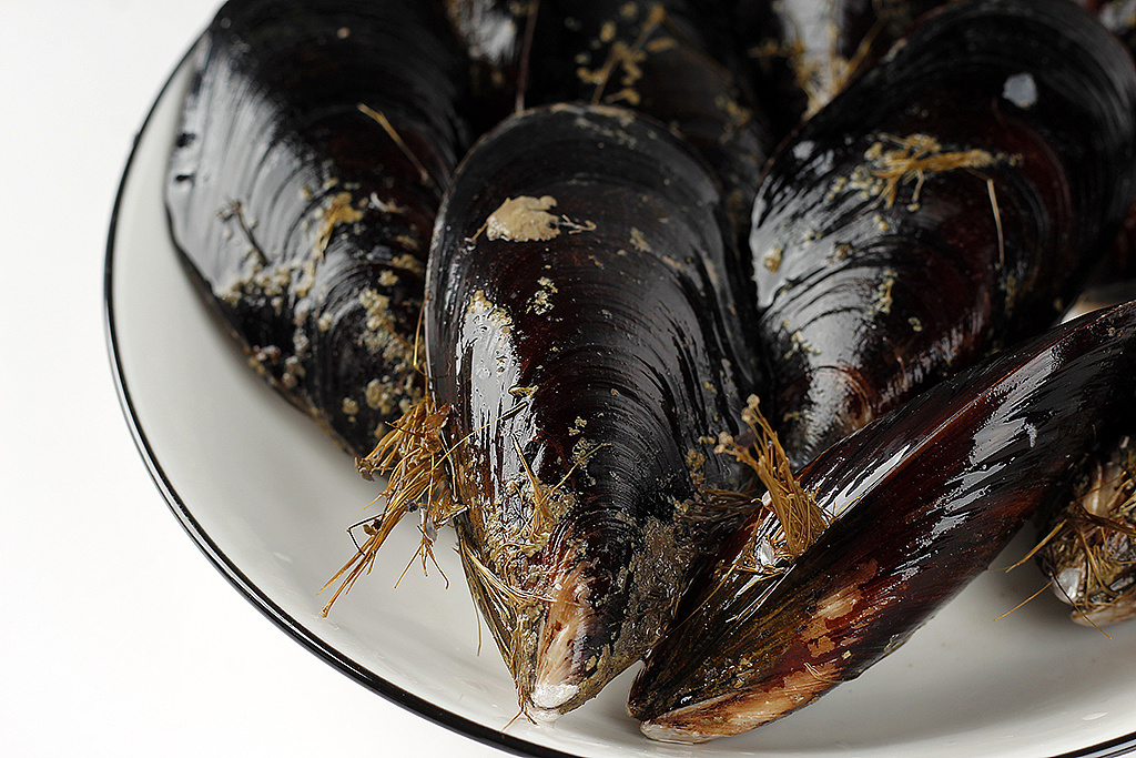 海虹丨贻贝丨没有珍珠但是超好吃的小生物丨飞鸟电商