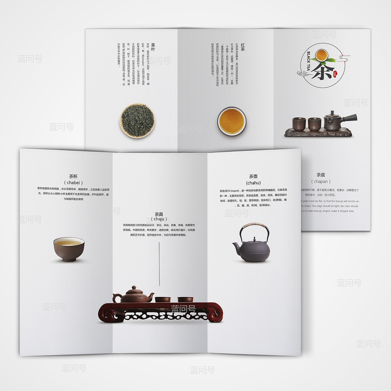 茶三折页设计
