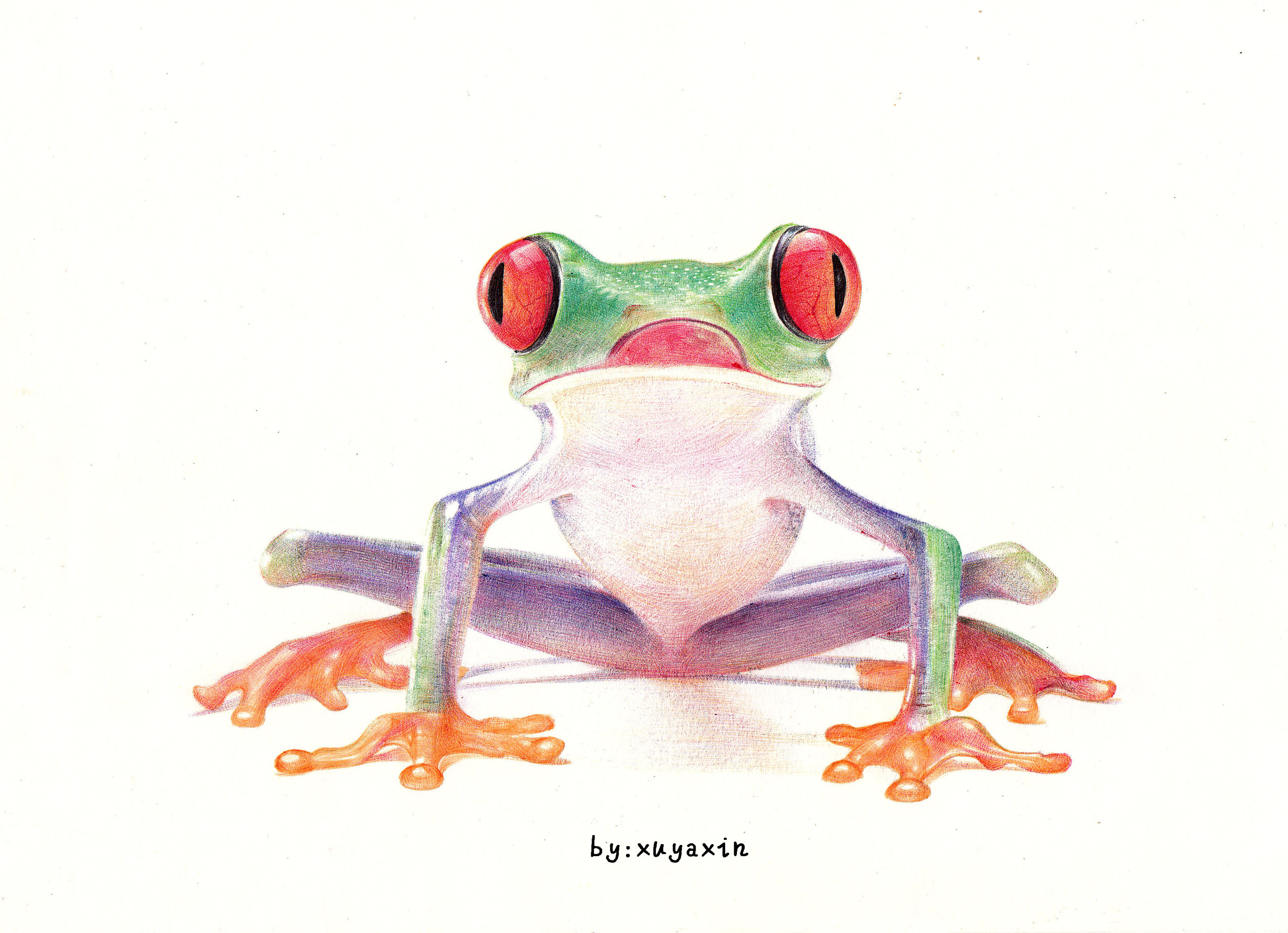 圆珠笔绘动物——青蛙