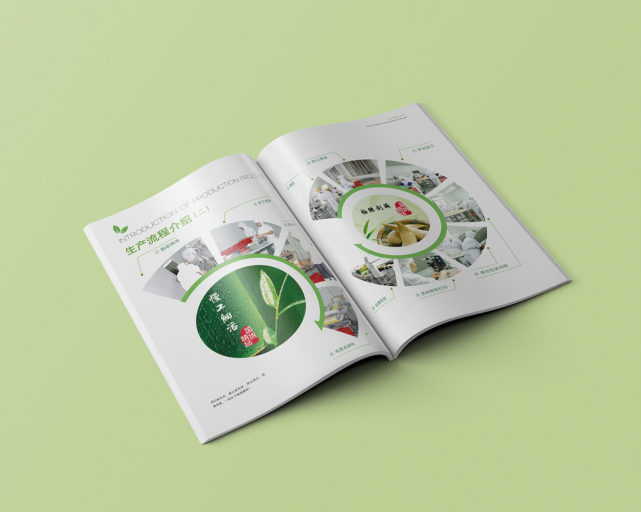 食品画册（图ZNzQ4NTk4NDg=） - 书籍/画册 - 站酷设计师楛月原创素材 - 站酷ZCOOL