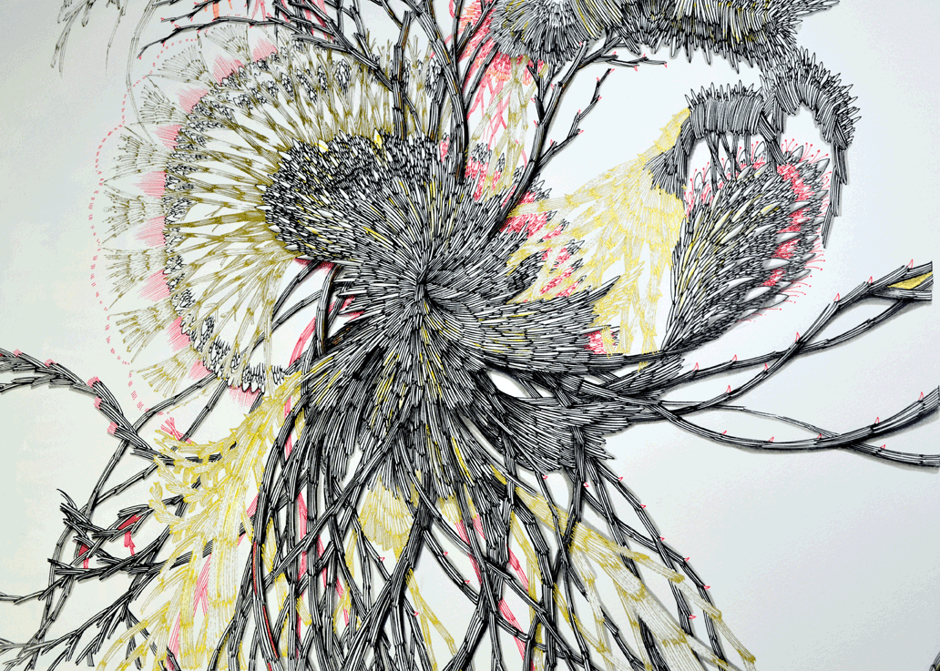 在离自然最近的地方等你