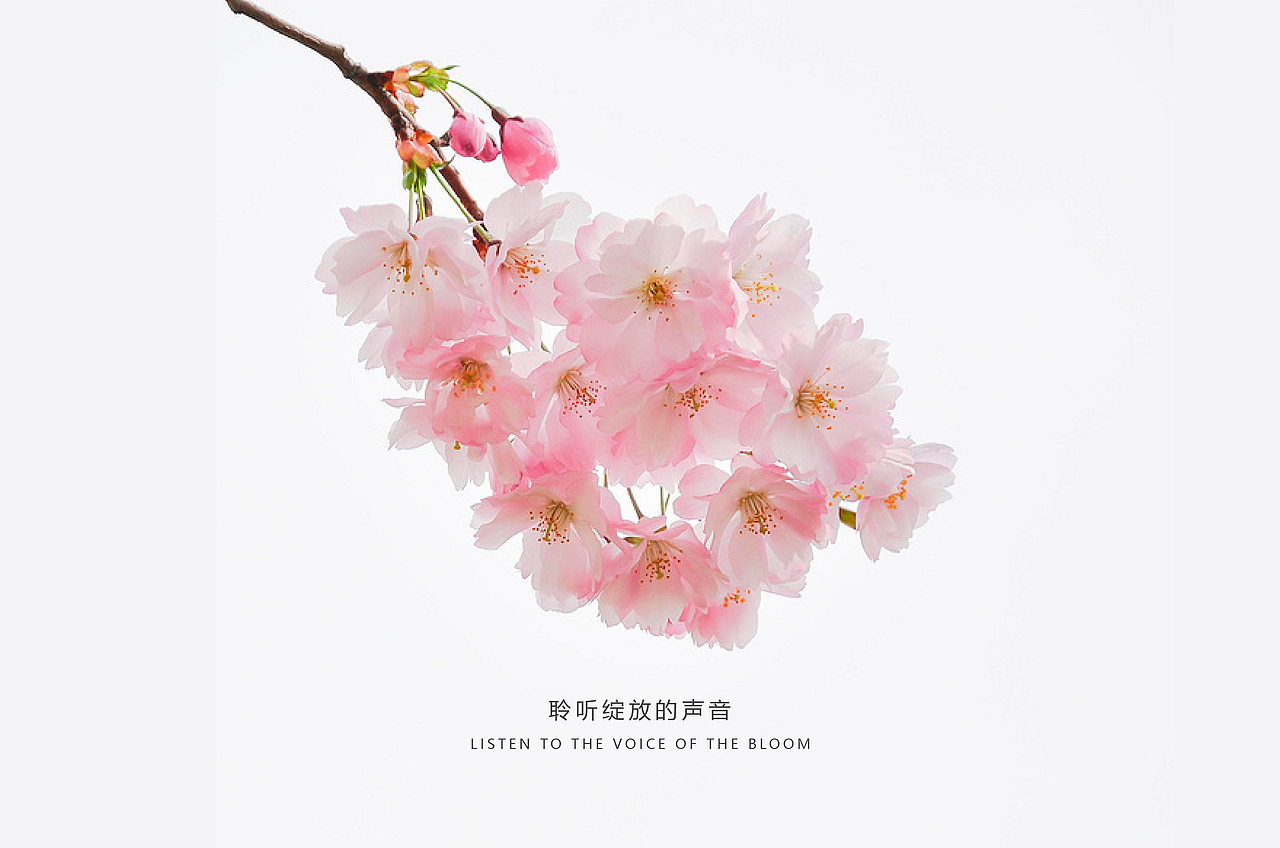 MU / 木羽花店（图ZNjAyMTc2MDg=） - Logo - 站酷设计师KIMSANZ原创素材 - 站酷ZCOOL