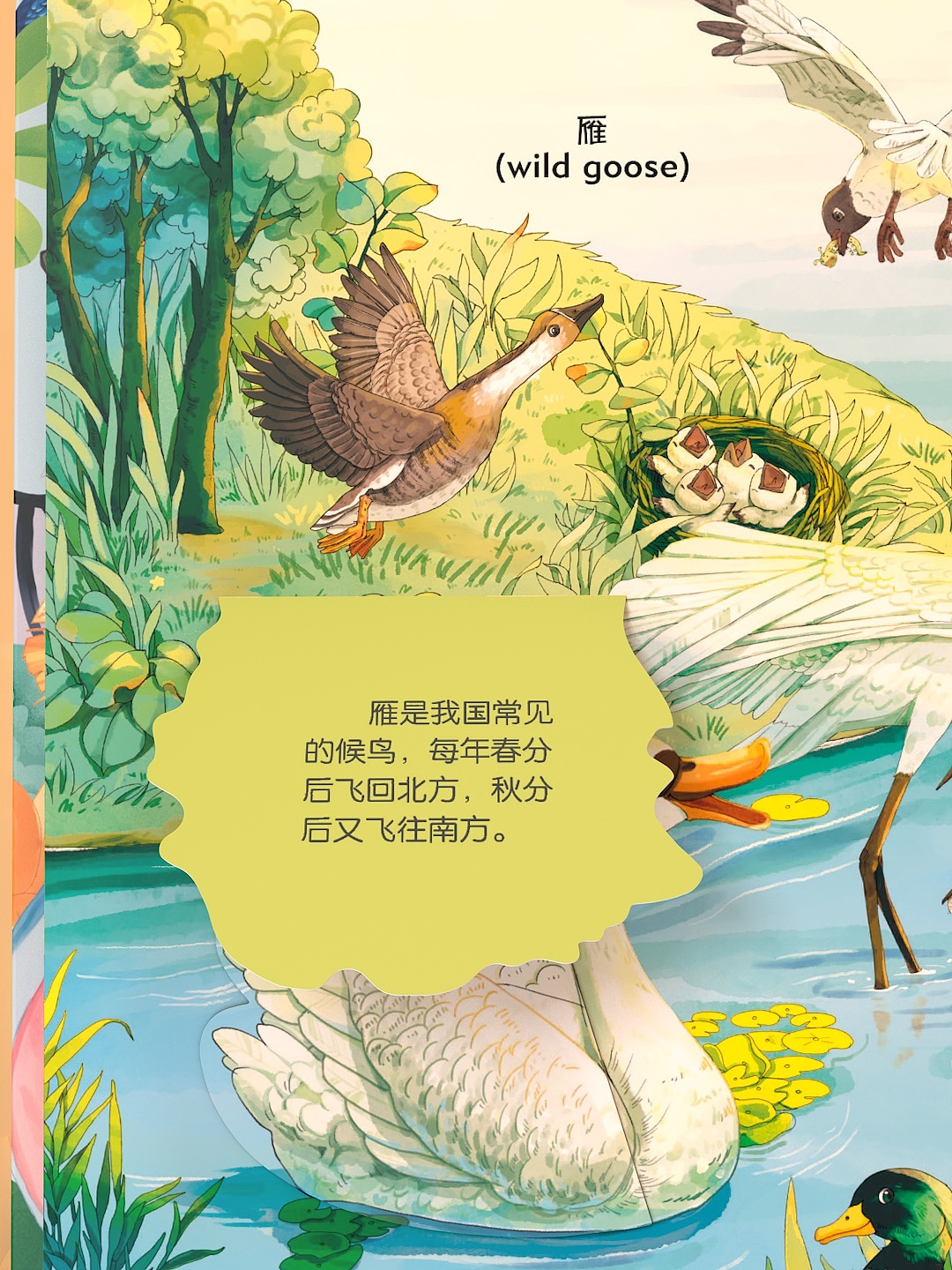 动物朋友立体书C4D动画翻书3D视频（图ZMTkzODQyNDA0） - 短片 - 站酷设计师皮皮鲨_VFX原创素材 - 站酷ZCOOL