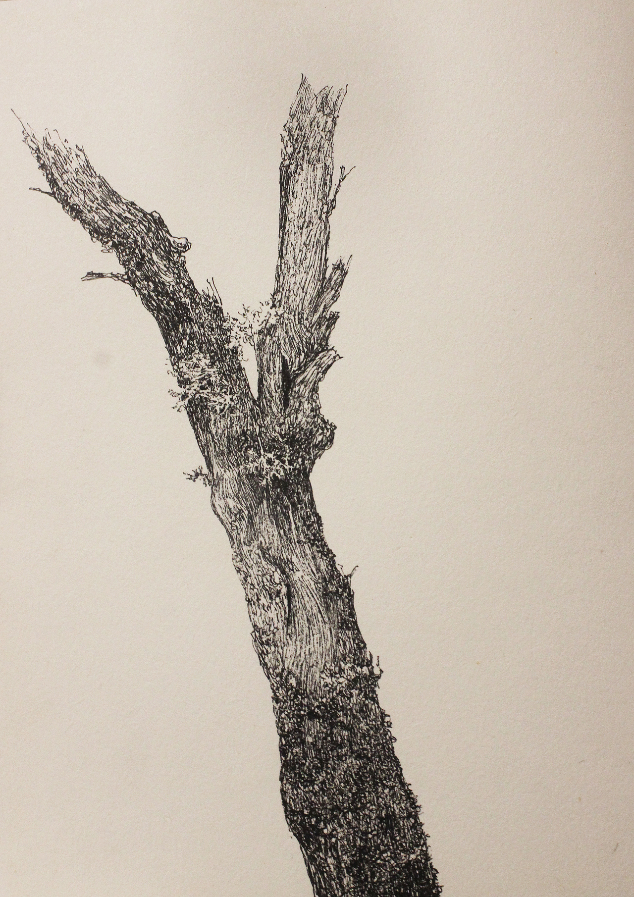 风景速写 之岚皋