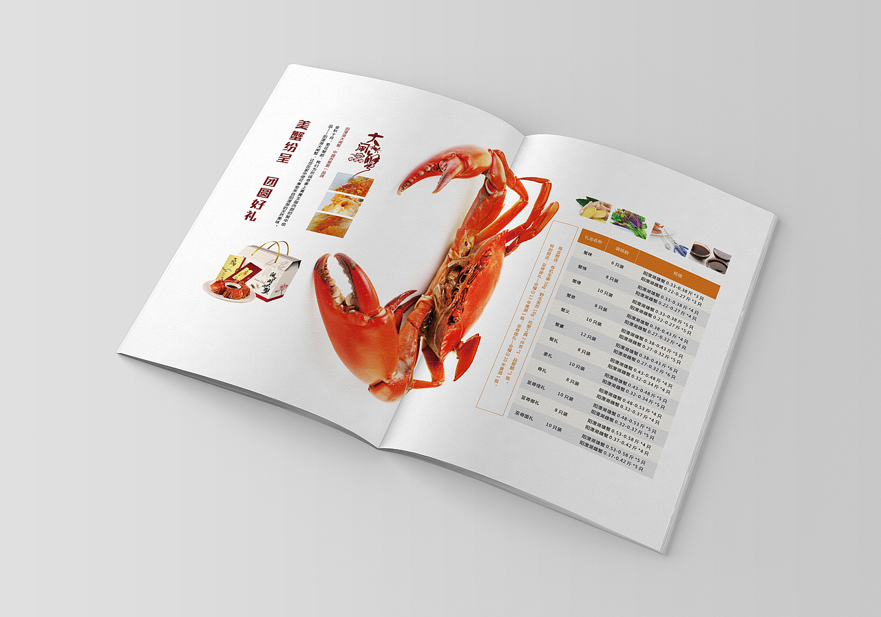 一本画册（图ZNjIzMjgyOTY=） - 书籍/画册 - 站酷设计师li10602原创素材 - 站酷ZCOOL