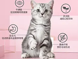 猫罐头
