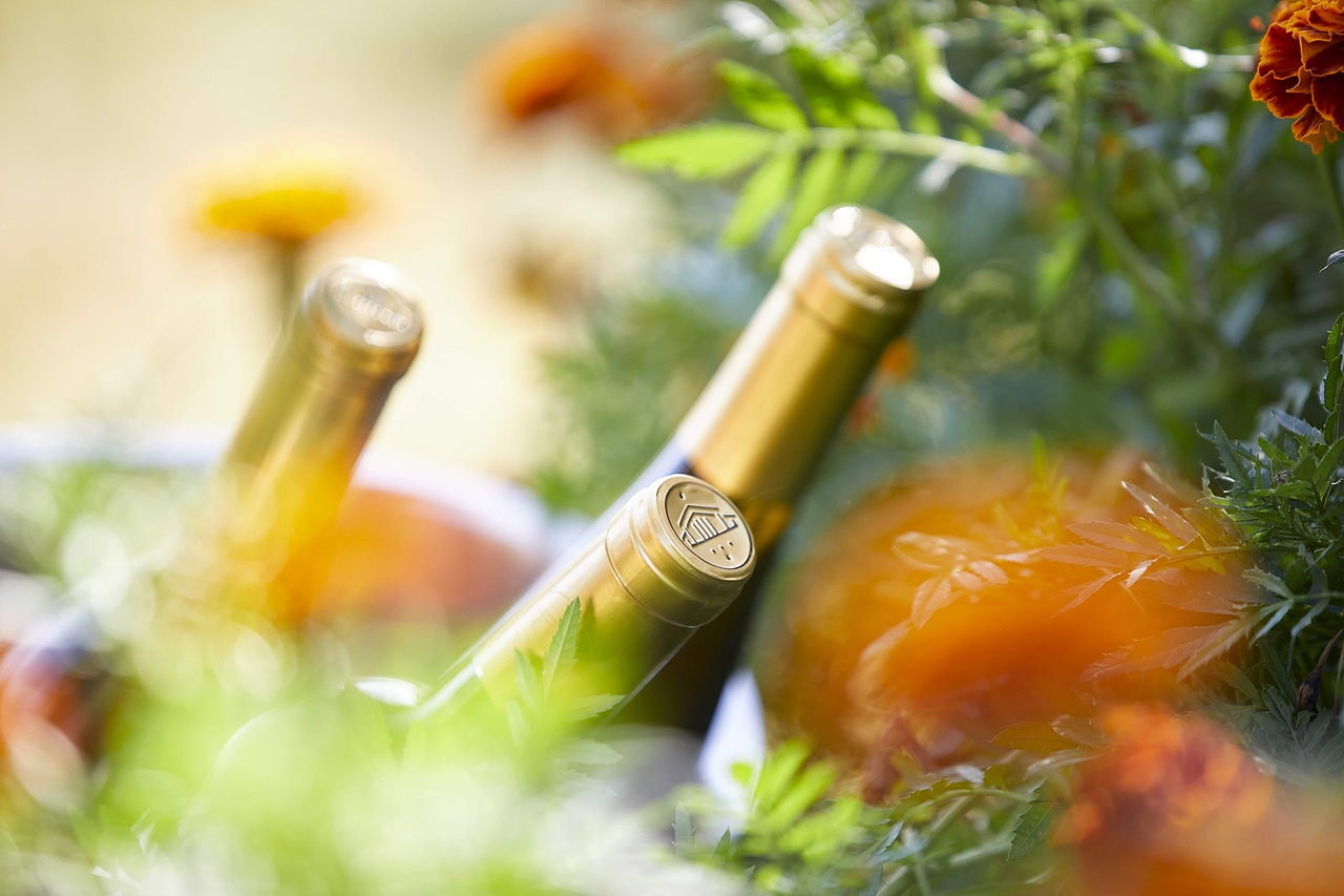 迦南酒业产品图像拍摄与设计（图ZMjU3NjY0ODAw） - 品牌 - 站酷设计师策意象taasdesign原创素材 - 站酷ZCOOL