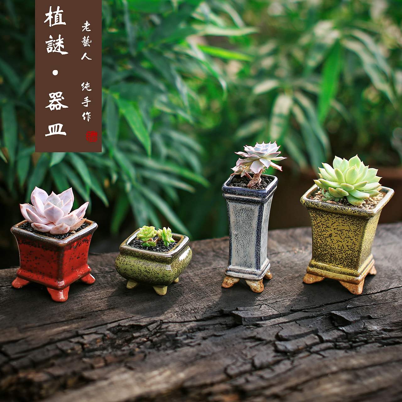 多肉植物 器皿 盆器 谷土（图ZNTc3ODA2NjQ=） - 风光摄影 - 站酷设计师留俗原创素材 - 站酷ZCOOL