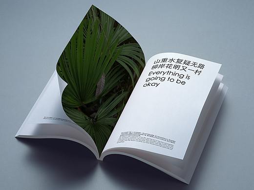 我在恩施抗疫情