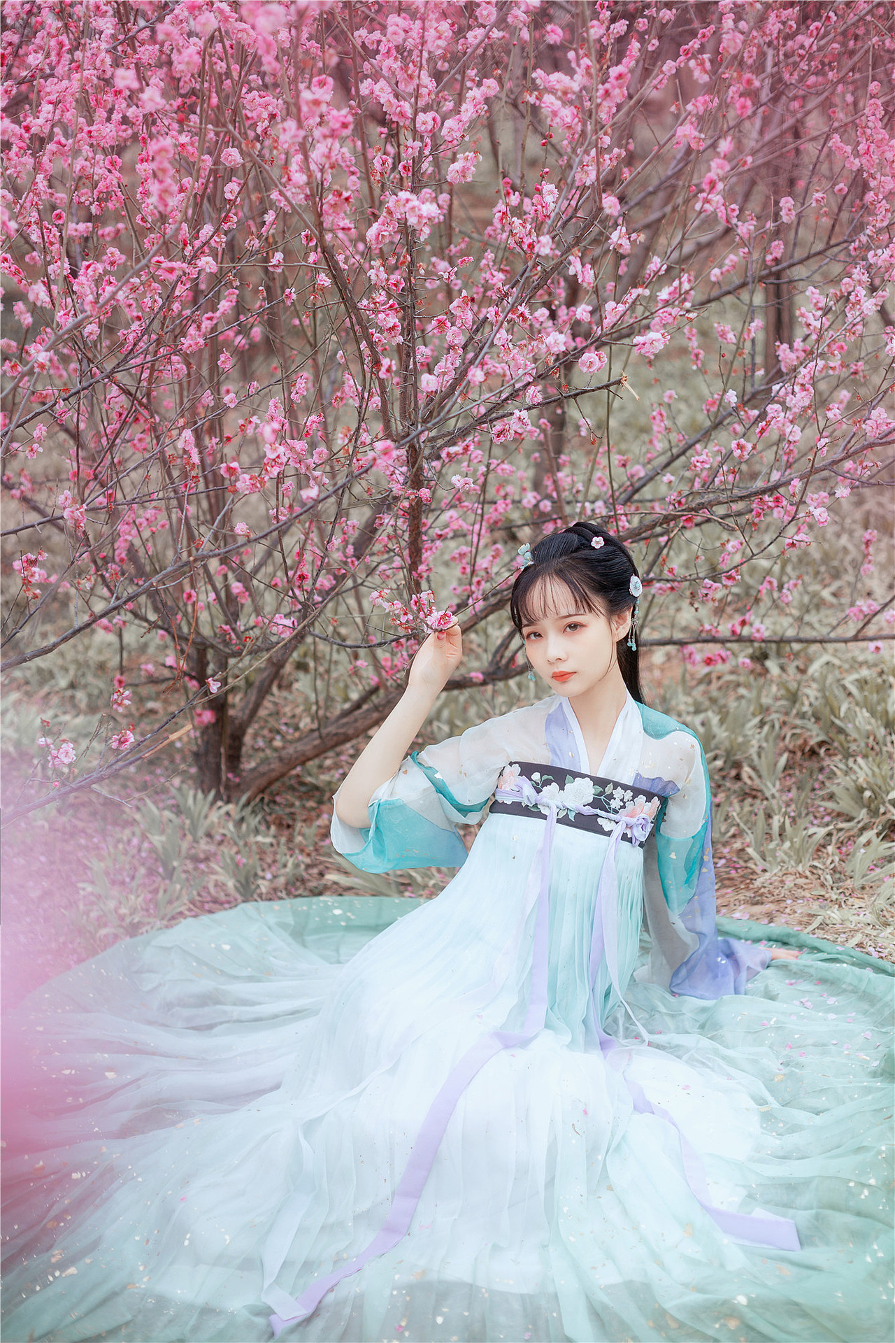 红入桃花媚小春