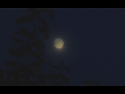 『嗔』