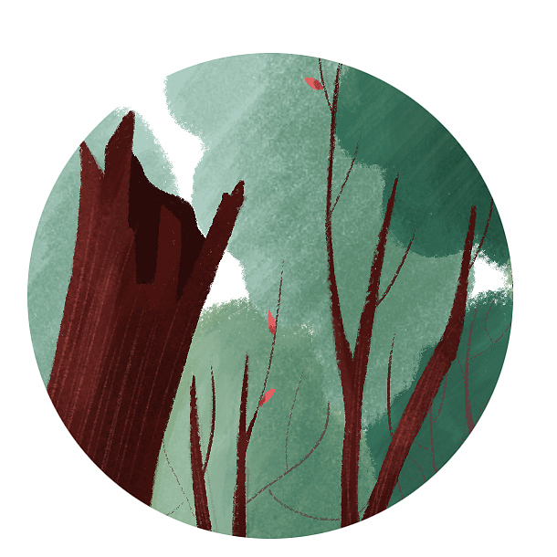 植树节 — 给世界加点绿