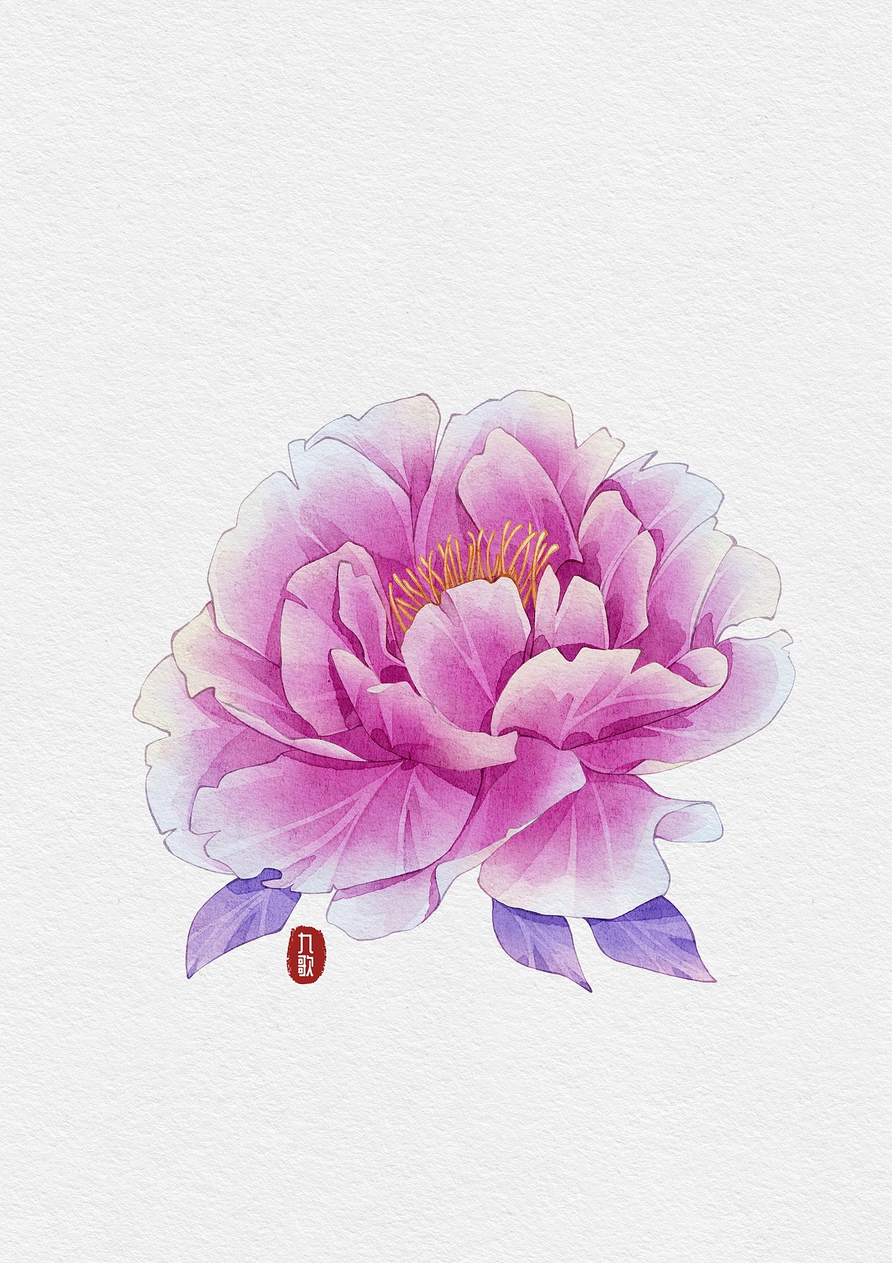 近期练习(花卉类)