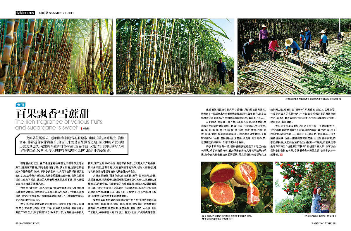 《时代三明》杂志2014年第6期三明的果-源艺设计（图ZNzgzMTI0NDA=） - 书籍/画册 - 站酷设计师郑源华原创素材 - 站酷ZCOOL