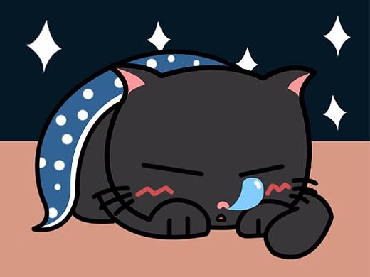 猫逗逗表情包