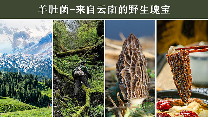 3（图ZMjE5MzUwNjE2） - 海报 - 站酷设计师嗯哼11111111原创素材 - 站酷ZCOOL