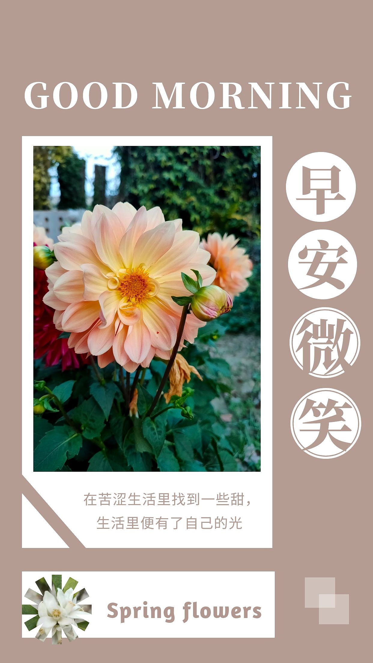 三月早安图