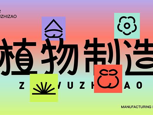 植物制造—网红品牌