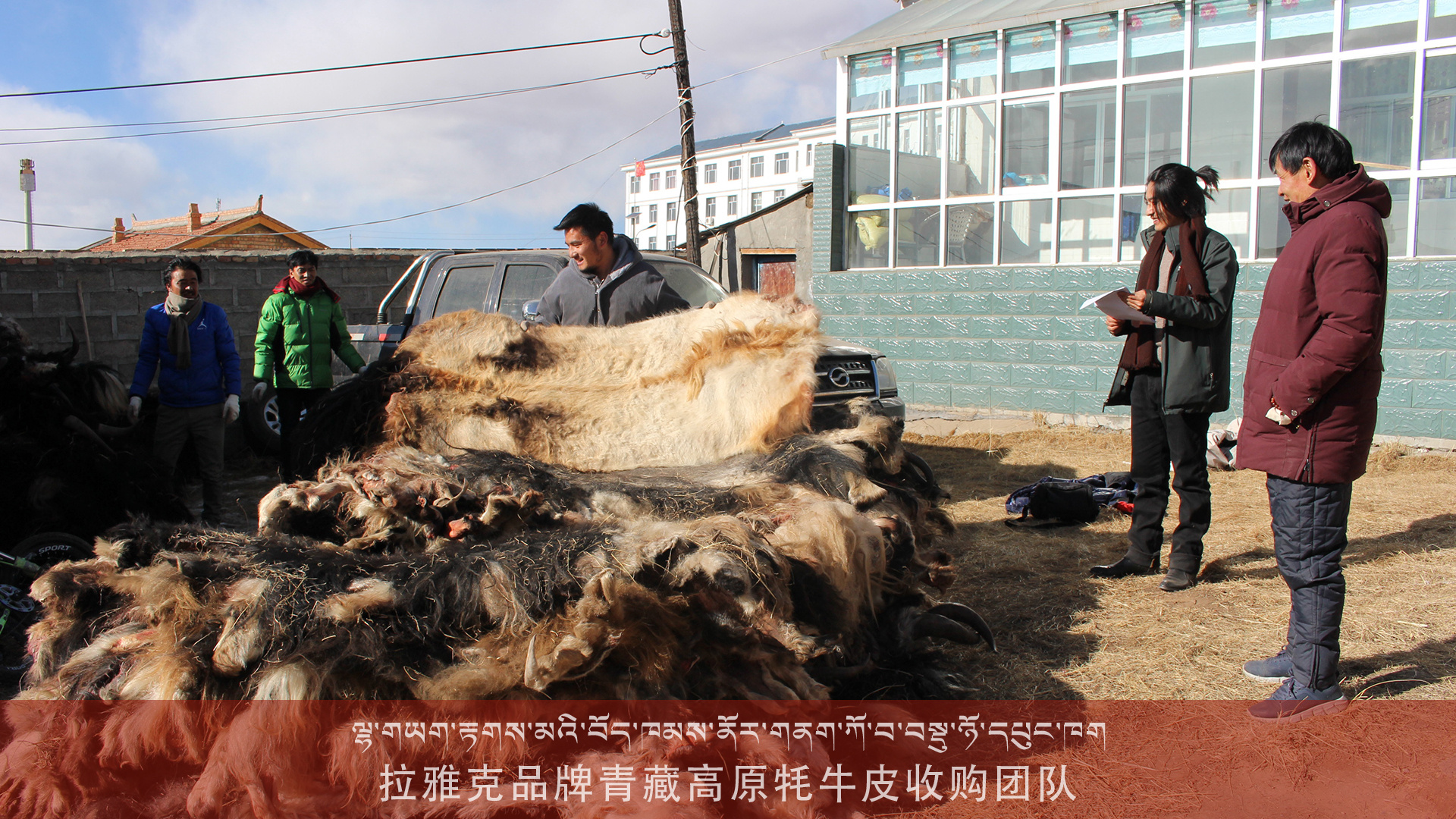 2018拉雅克品牌青藏高原牦牛皮收购团队