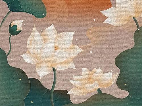 复古荷花插画