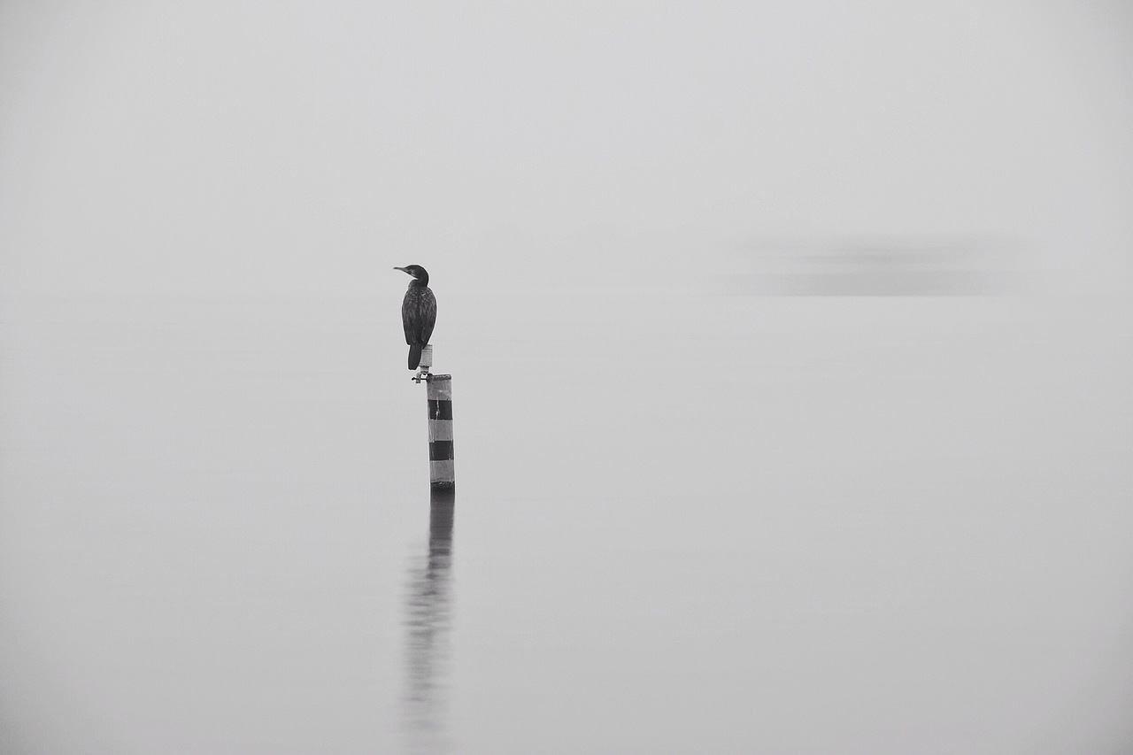 西子最美是烟雨