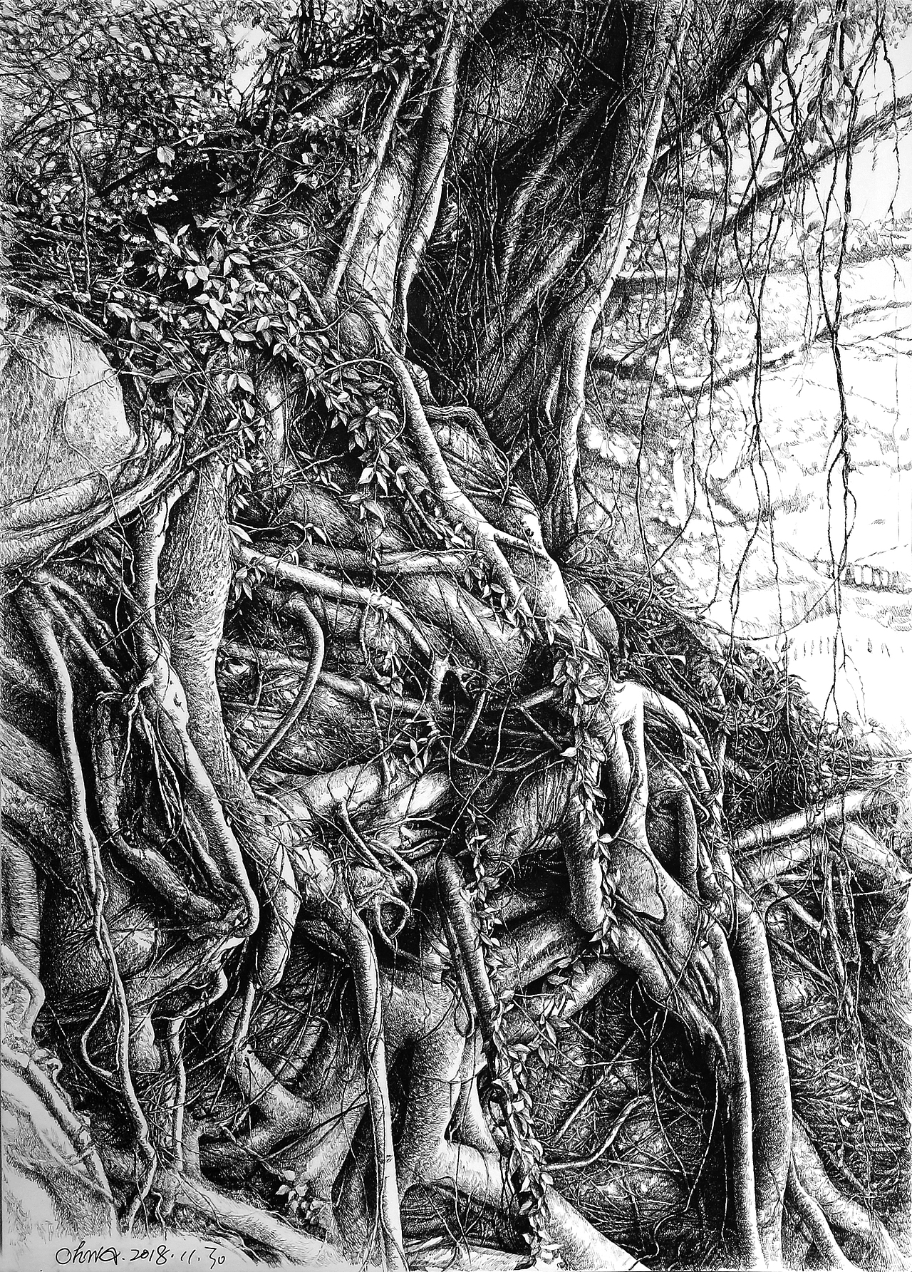 古藤老树（图ZMTM3MTgxODcy） - 绘画 - 站酷设计师ohwa俊桦原创素材 - 站酷ZCOOL