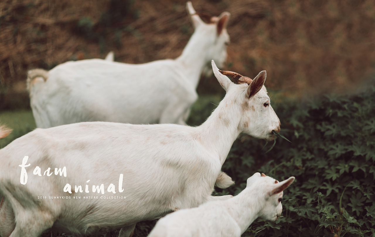 Peach Day~（图ZMTY1NzQ1MzQw） - 人像摄影 - 站酷设计师摄影师孙孙酱原创素材 - 站酷ZCOOL