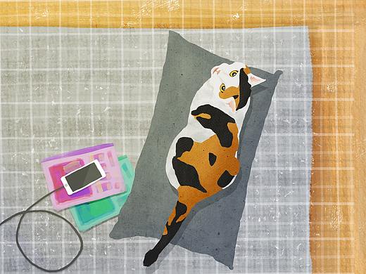 质感插画练习——大喵