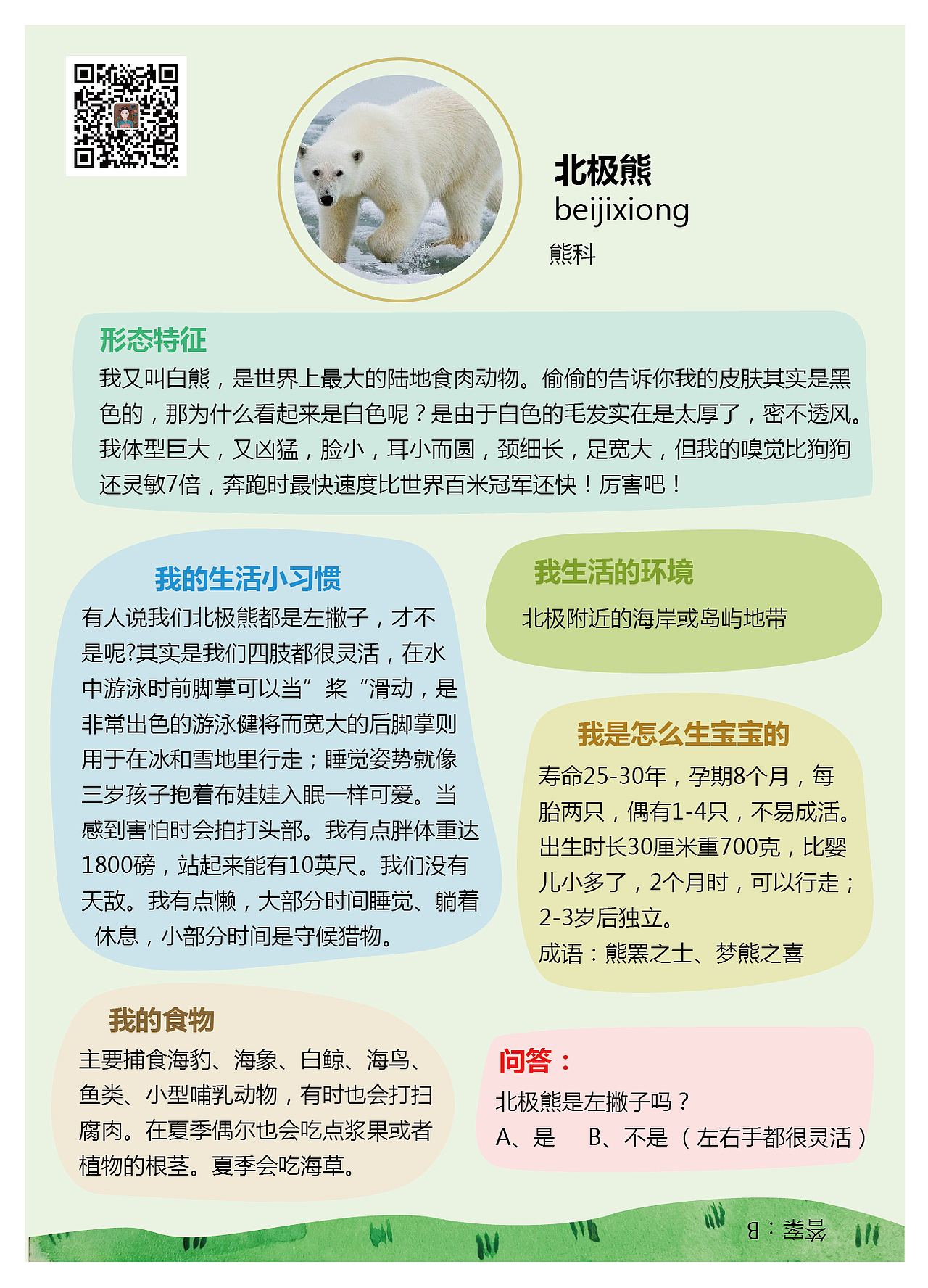 给宝宝画的动物单词图卡（上）