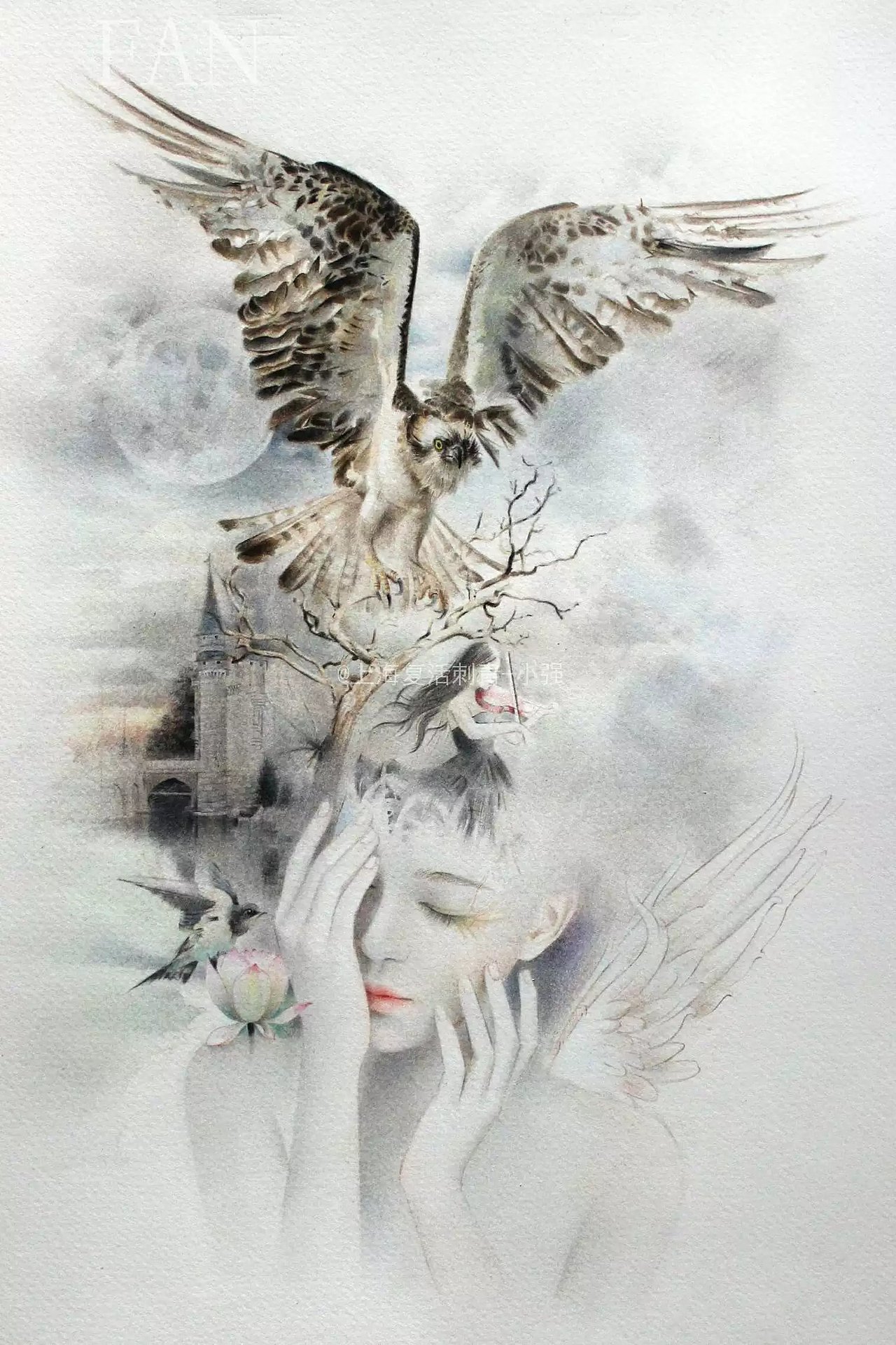 绘画步骤5