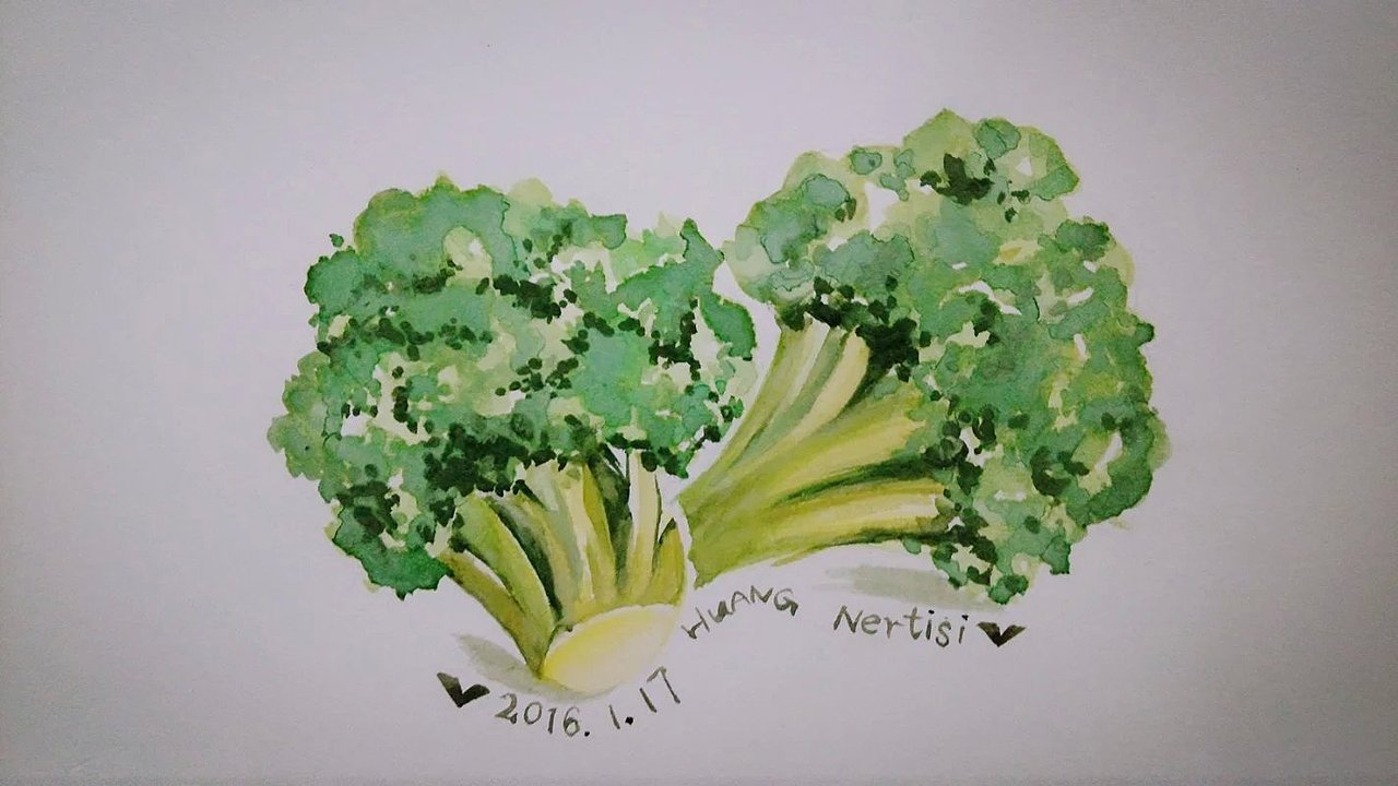 Nertisi#新手练习#（图ZNDQ3NjE4NDQ=） - 创作习作 - 站酷设计师nertisi原创素材 - 站酷ZCOOL