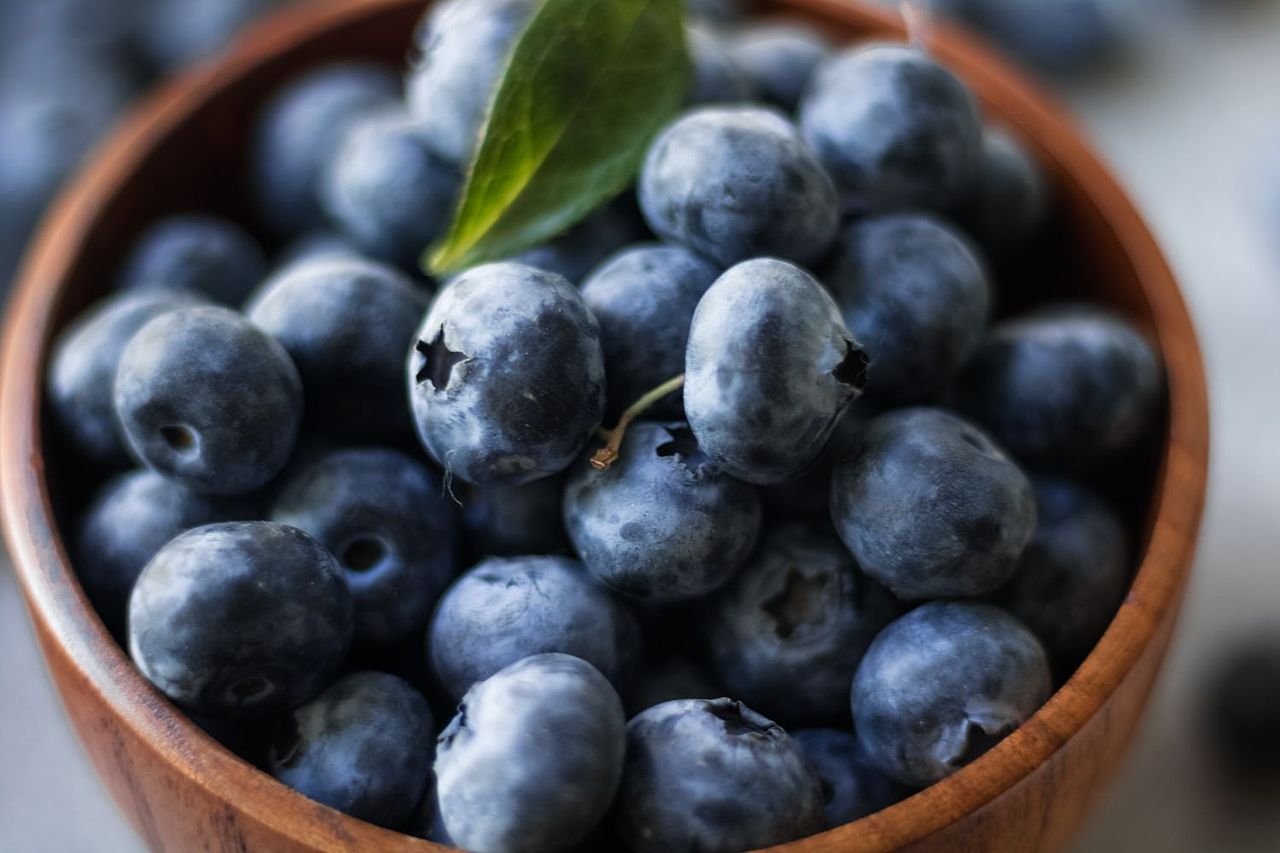 蓝莓