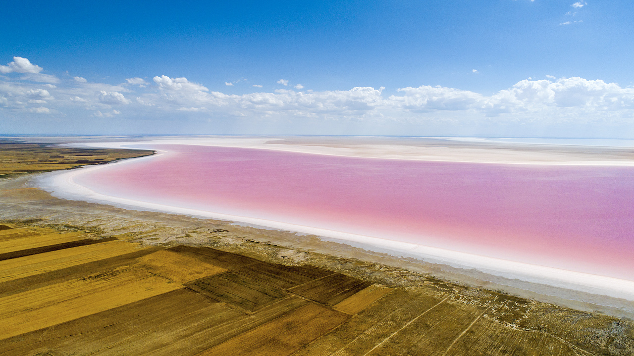 4-7月是图兹湖最美的季节,淡粉色的湖面晕染开来.