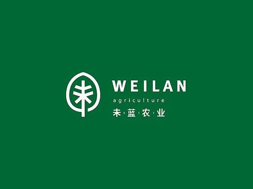 未蓝农业标志设计——云点创意