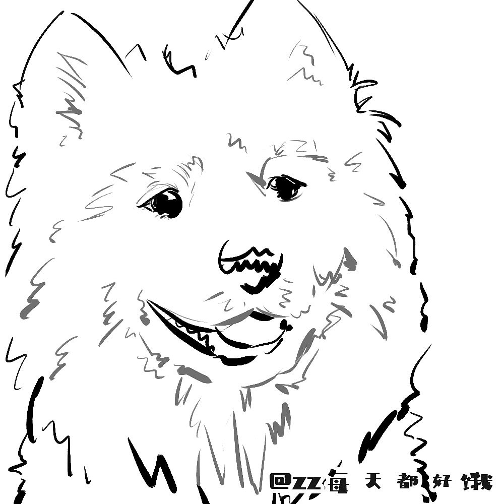 狗子萨摩耶可爱宠物手绘