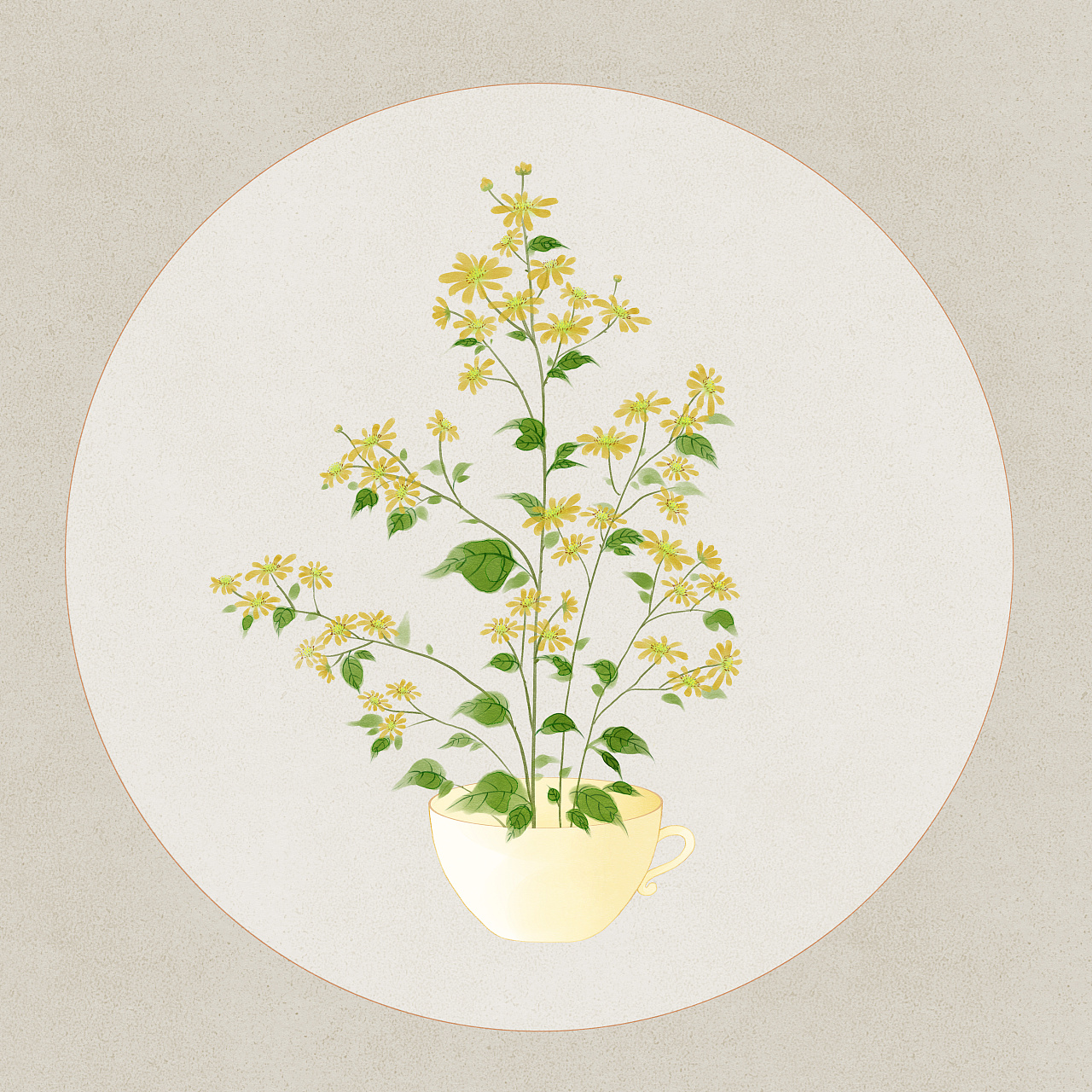 野菊花|插画|商业插画|凤兮520 - 原创作品 - 站酷 (zcool)