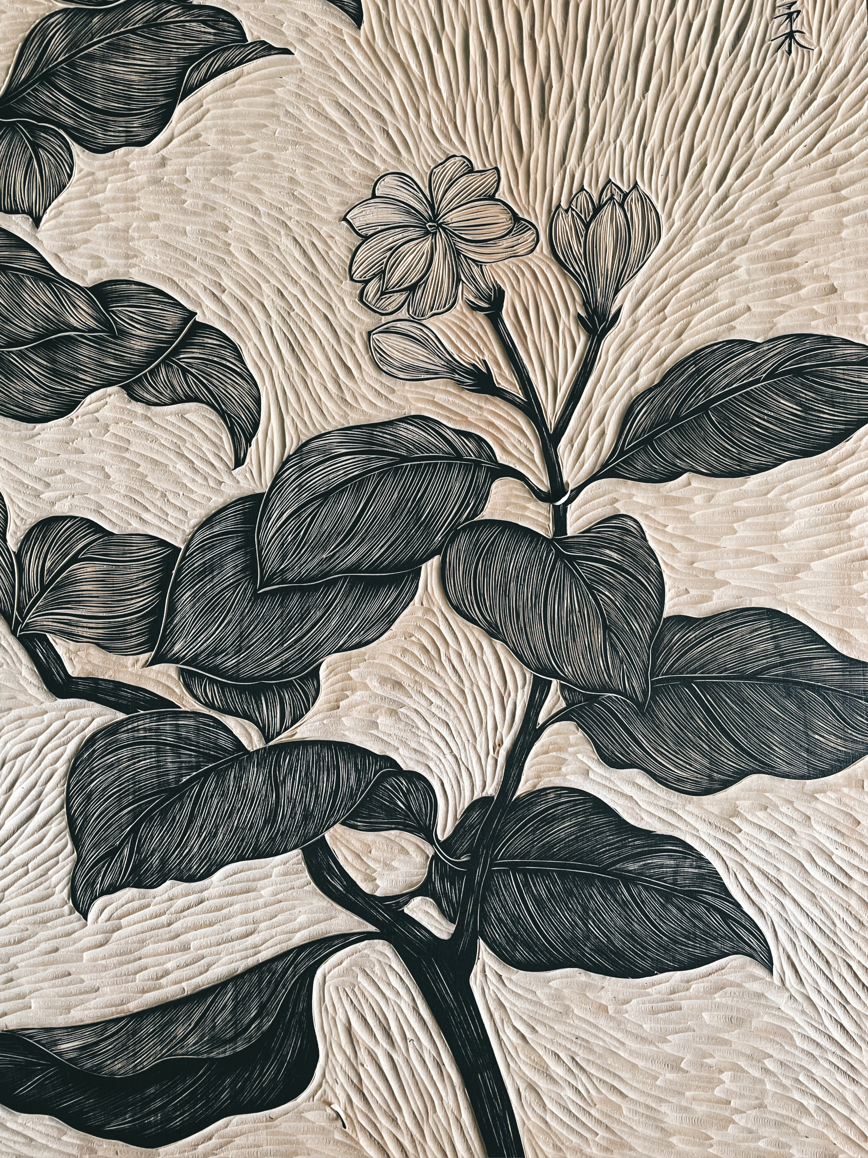 黑白木刻版画植物图片