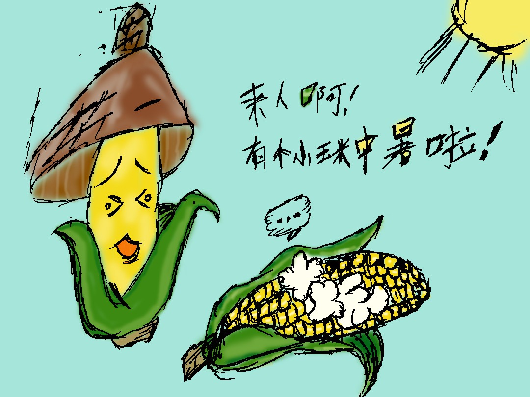 玉米简笔画画法 丫丫小报