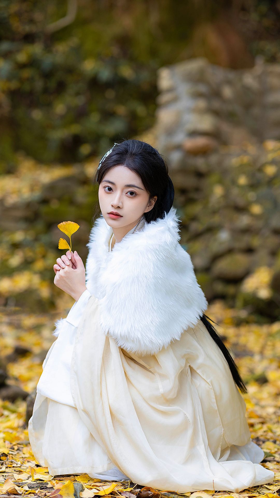 不负银杏不负秋