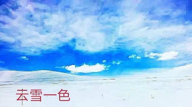 西藏的美云占了一半