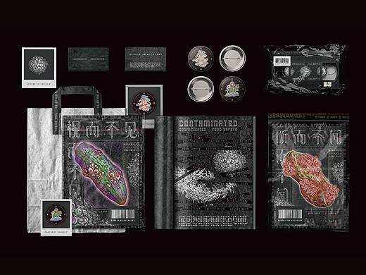 癌—探究人类-环境-食品三者间的联系