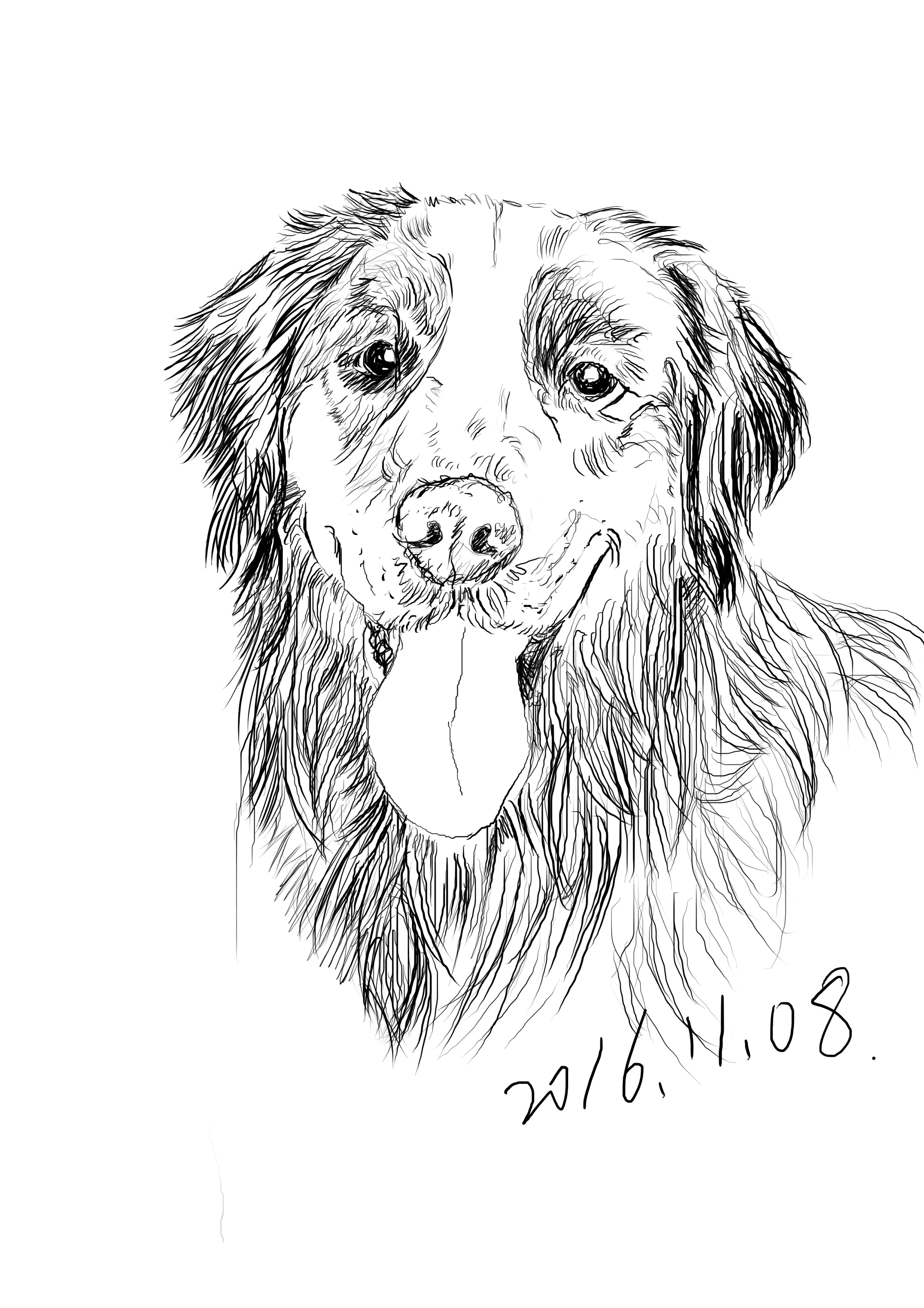 【手绘板】初学者