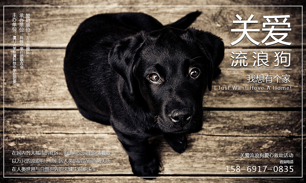 最近作品（图ZODA1NzYwMDQ=） - 海报 - 站酷设计师向往的旅程原创素材 - 站酷ZCOOL