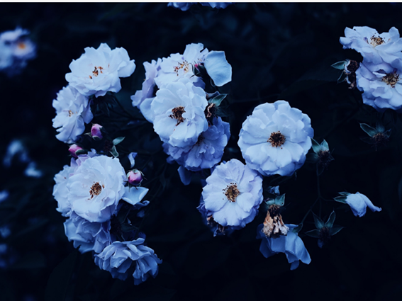 倦客o的個人主頁（背景預(yù)覽） - 主頁背景設(shè)置 - 站酷設(shè)計師倦客o原創(chuàng)素材 - 站酷ZCOOL